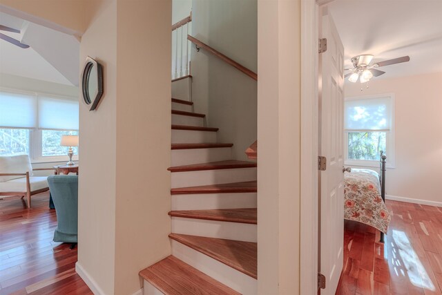 601 Seagrove Ave, Cape May Point, NJ 08212 - photo 18