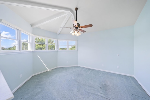 332 Portsmouth Rd, Lower Township, NJ 08204 - photo 26