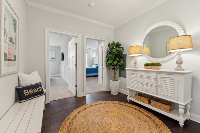 hall with dark hardwood / wood-style floors and crown molding