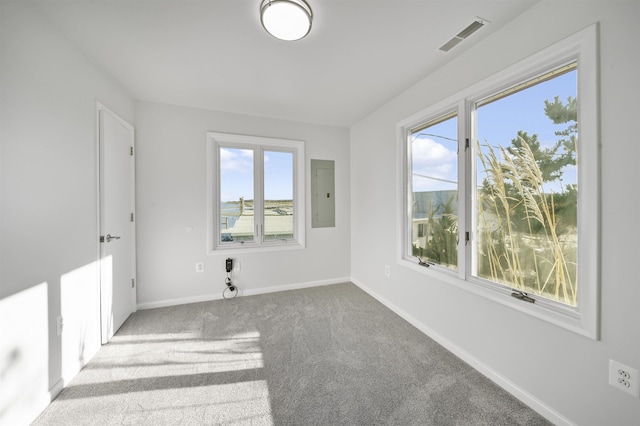 unfurnished room featuring light carpet and electric panel