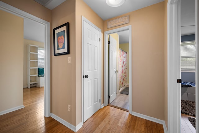 331 Holly Ln, Erma, NJ 08204 - hall featuring a baseboard radiator, light wood finished floors, and baseboards