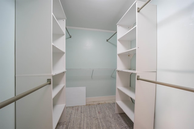 walk in closet featuring light hardwood / wood-style flooring