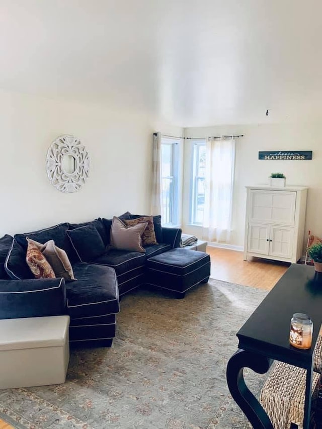 living area with wood finished floors