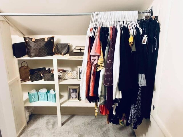 spacious closet featuring carpet