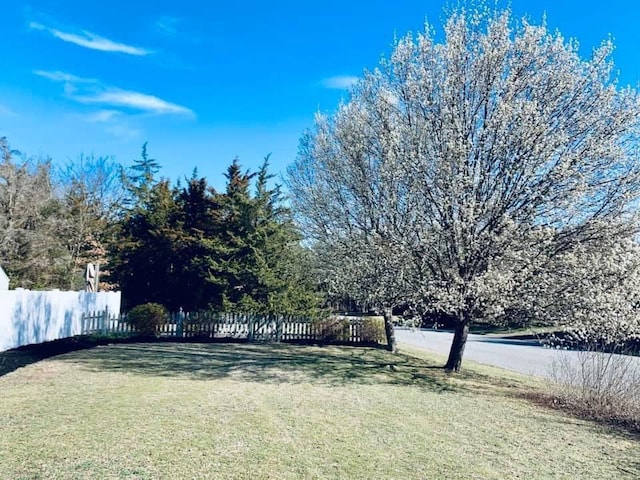 view of yard featuring fence