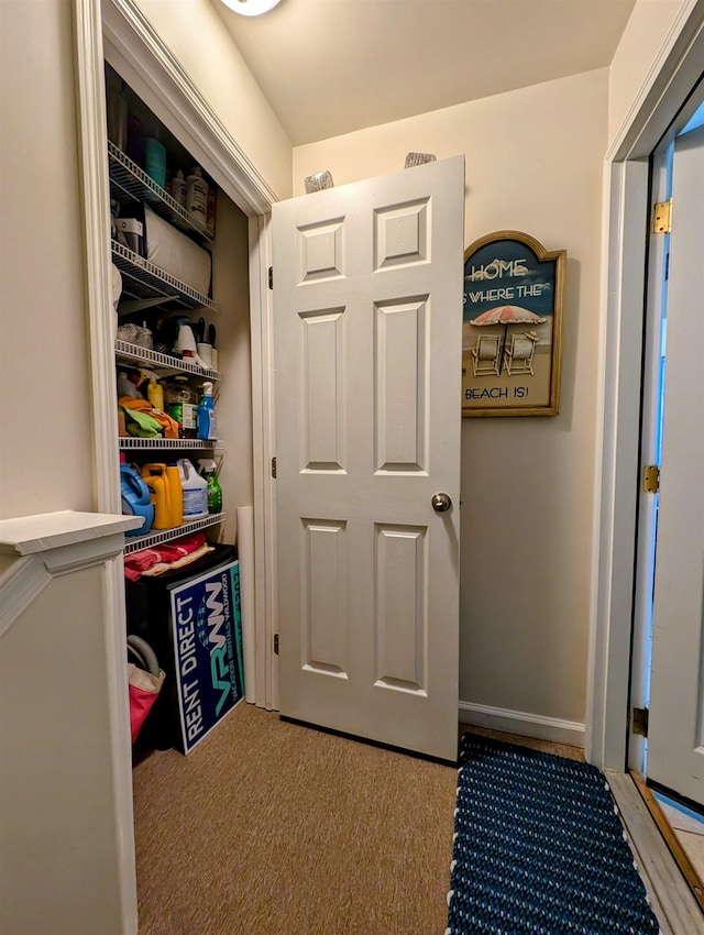 rec room with carpet