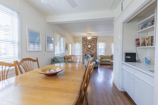 dining space with ceiling fan, a healthy amount of sunlight, dark hardwood / wood-style flooring, and a fireplace