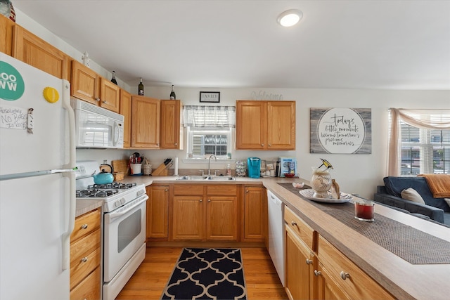 kitchen with white appliances, sink, and light hardwood / wood-style flooring