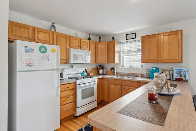 kitchen with sink, white appliances, and light hardwood / wood-style flooring