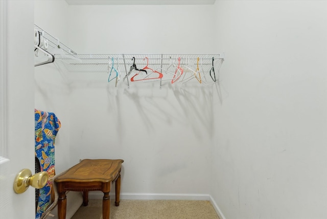 spacious closet with carpet flooring