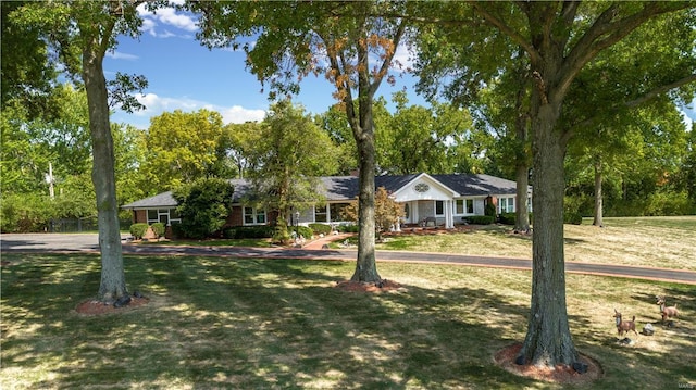 single story home featuring a front lawn