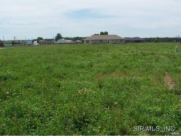 616 Kate Ct, Saint Libory IL, 62282 land for sale