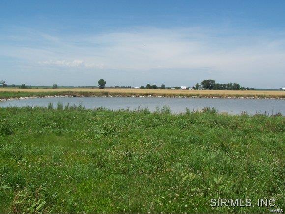 1016 Jean Marie St, Saint Libory IL, 62282 land for sale