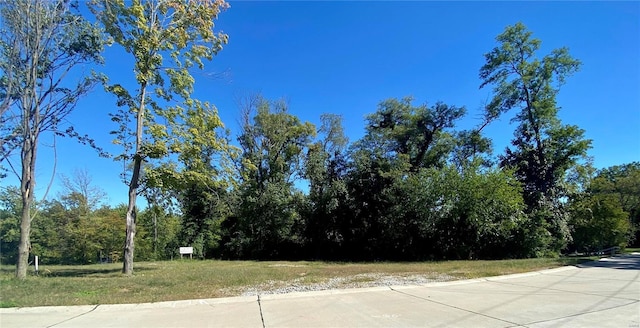 2017 Lily Ave, Kirkwood MO, 63122 land for sale