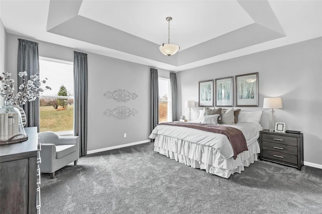 carpeted bedroom with a raised ceiling