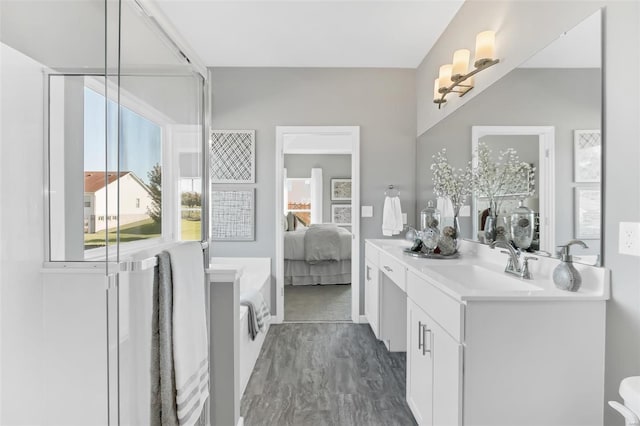 bathroom featuring hardwood / wood-style floors and vanity