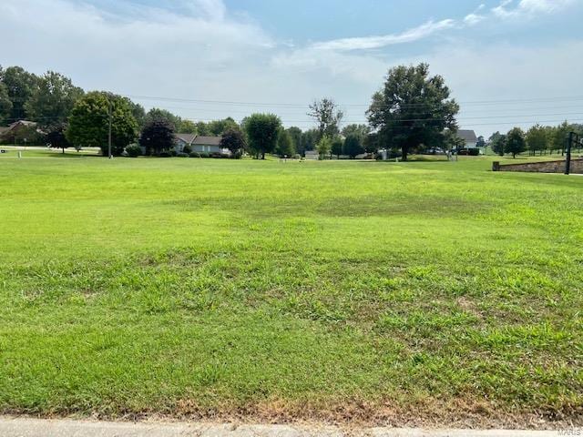 0 Chandler Ln, Dexter MO, 63841 land for sale