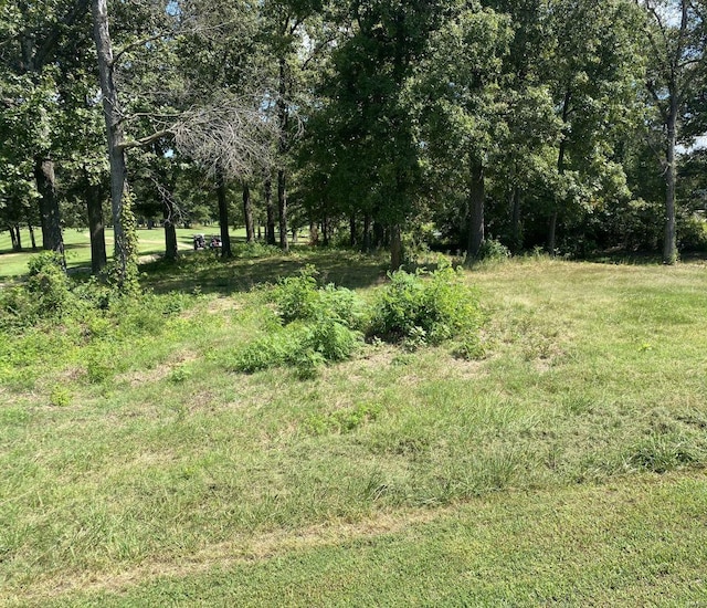 0 Hidden Trails Dr, Dexter MO, 63841 land for sale