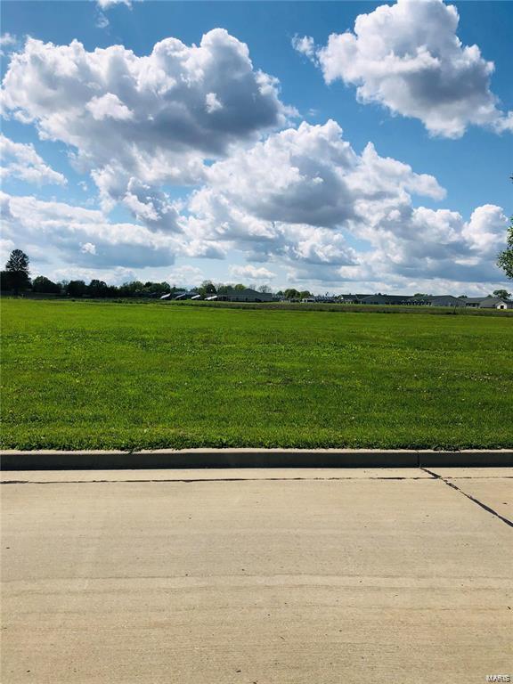 23 N June St, Jerseyville IL, 62052 land for sale