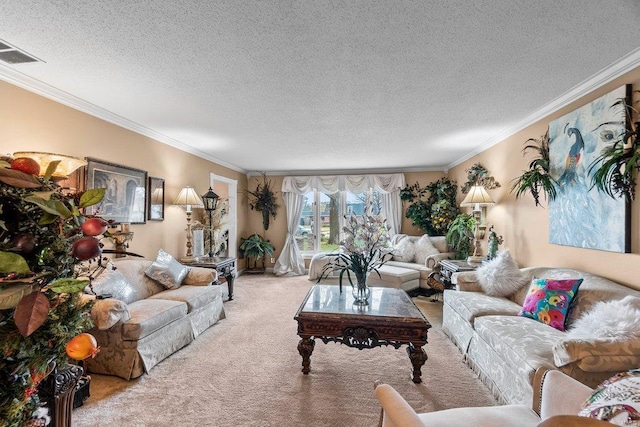 carpeted living room with crown molding and a textured ceiling