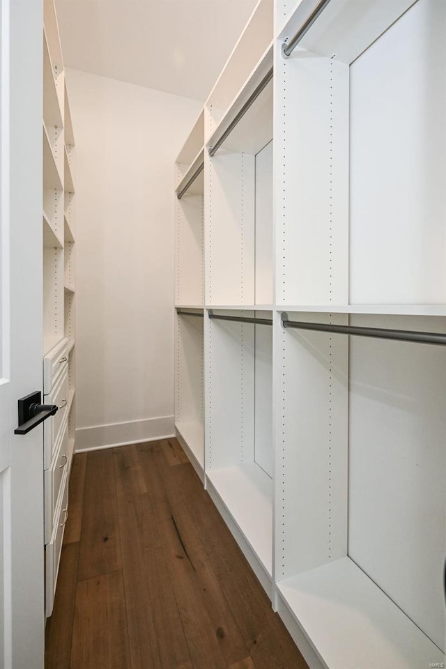 walk in closet featuring dark hardwood / wood-style floors