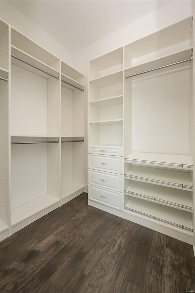 walk in closet with dark wood-type flooring