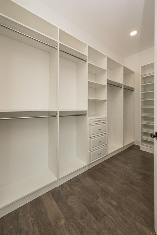 walk in closet with dark wood finished floors