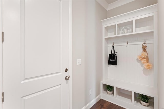 mudroom featuring dark hardwood / wood-style floors