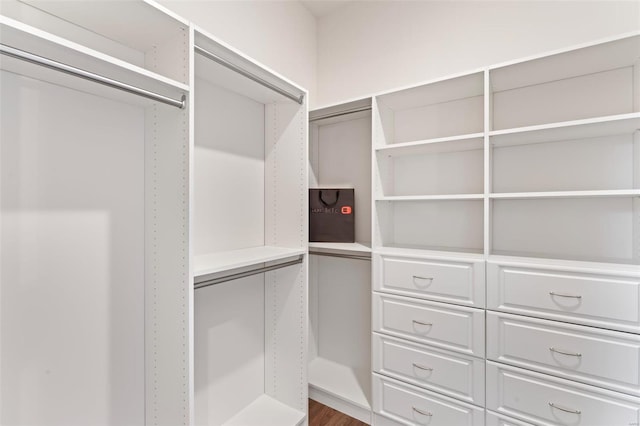 view of walk in closet