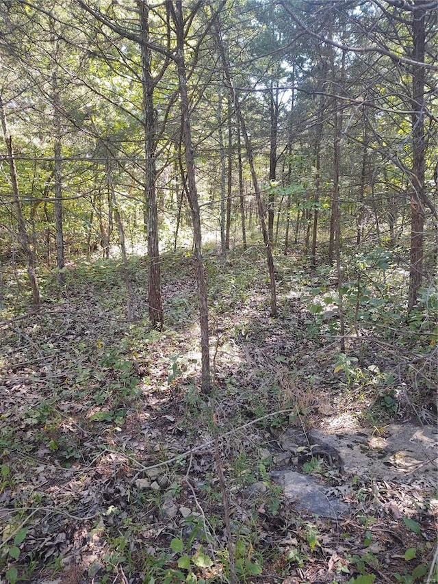 0 Rue Celeste, Bonne Terre MO, 63628 land for sale