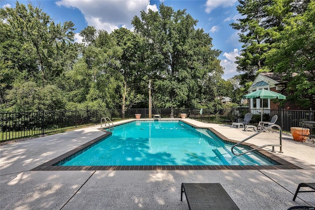 view of pool featuring a patio area