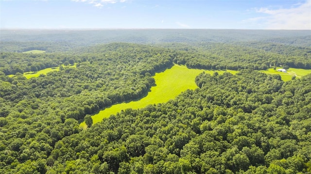 bird's eye view