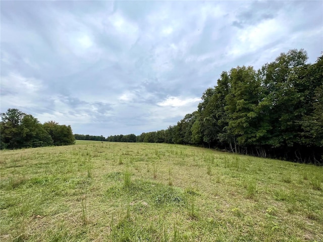 view of local wilderness with a rural view