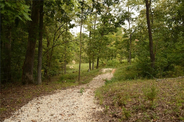 view of road