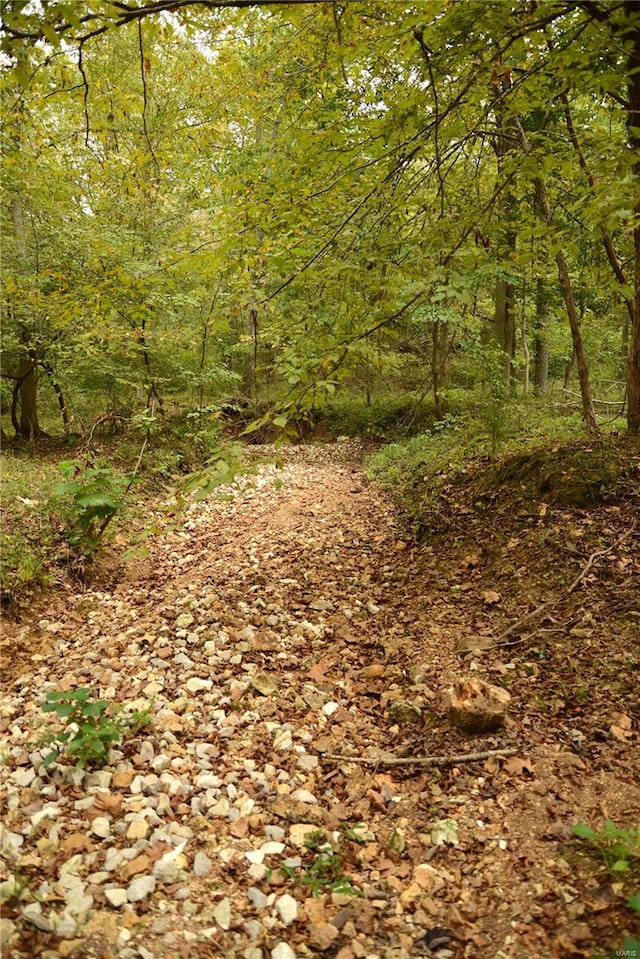 view of landscape