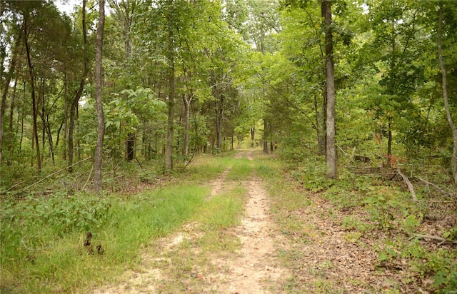 view of road