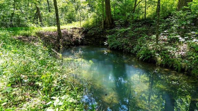 view of water feature