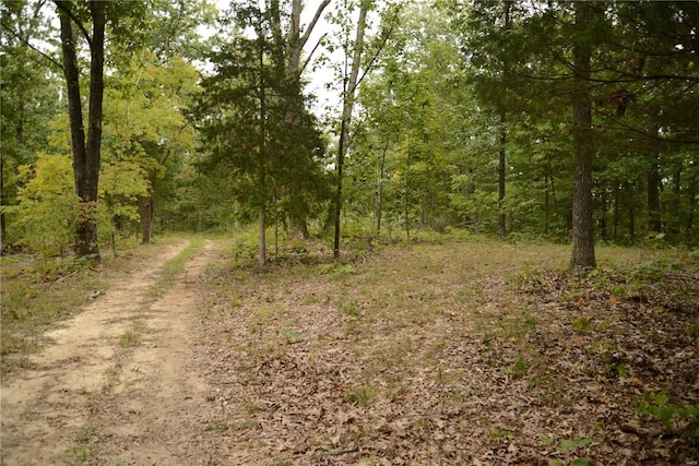 view of local wilderness