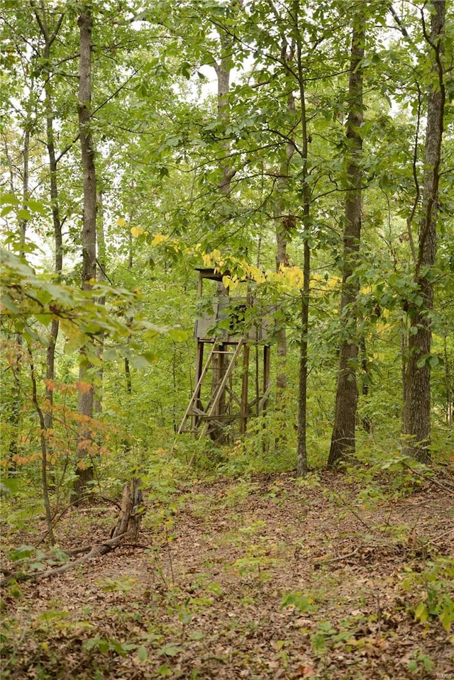 view of local wilderness