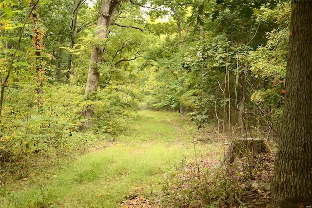 view of landscape