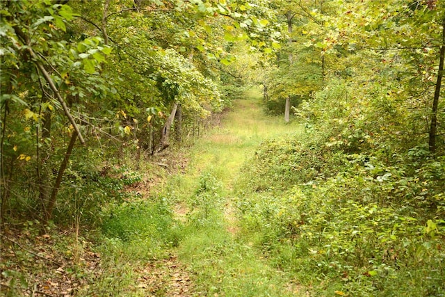 view of landscape