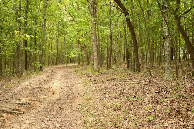 view of local wilderness