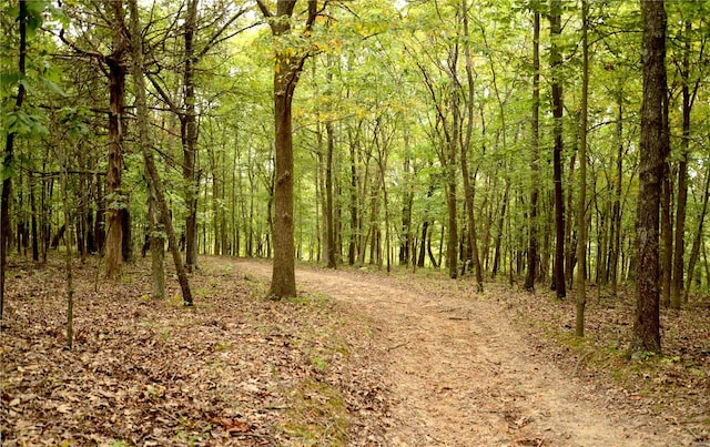 view of local wilderness