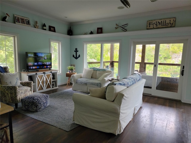 living room featuring dark hardwood / wood-style flooring and ornamental molding