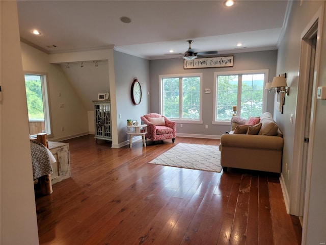 living room featuring ceiling fan, ornamental molding, and dark wood-type flooring