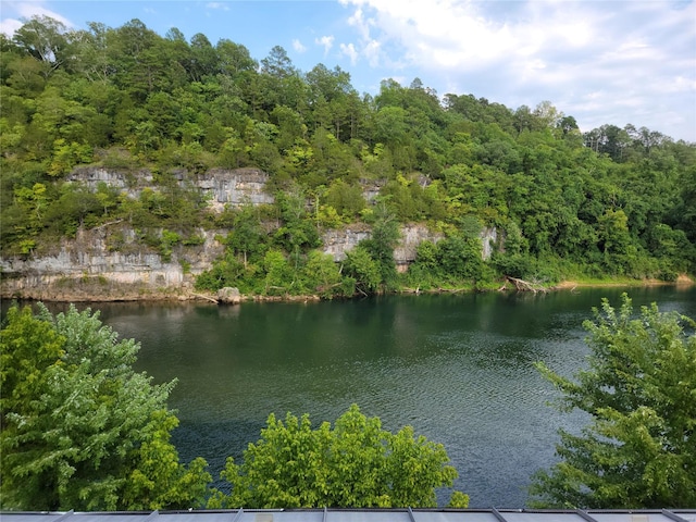 view of property view of water