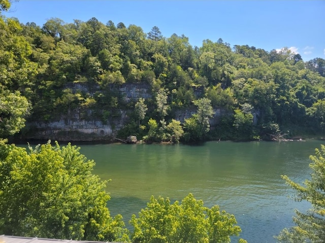 view of water feature