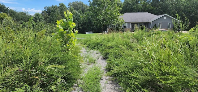 85 Maggie Ln, Makanda IL, 62958 land for sale