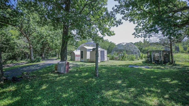 view of yard with a storage unit