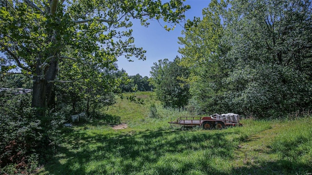 view of local wilderness